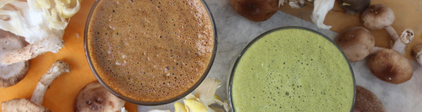 _Discover the Power of Medicinal Mushrooms _ Troomy_