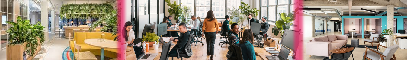 Boosting Productivity And Well being At Your Workspaces