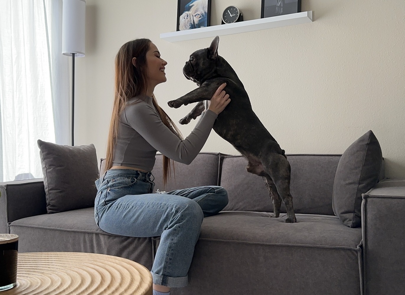 Pampering Your Pets with Comfortable Pet Chairs at SeatMate